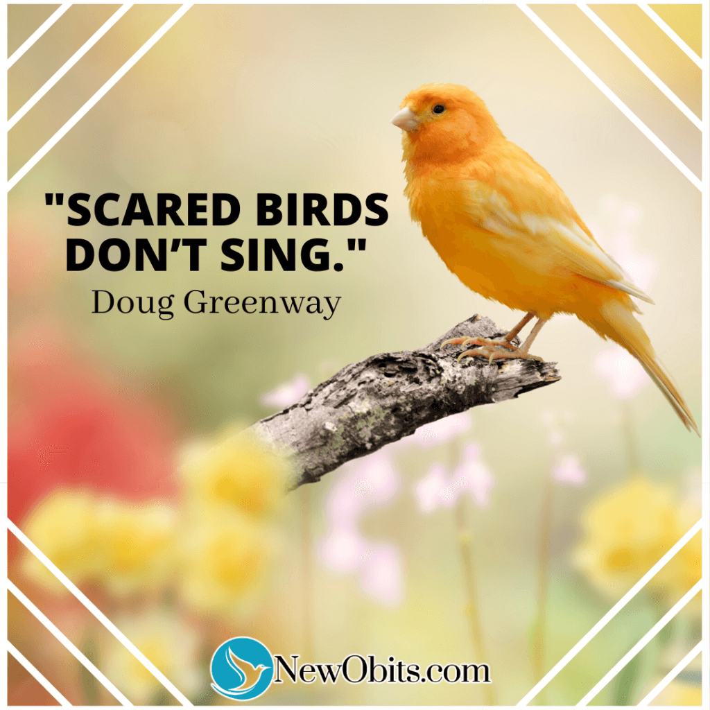 Scared Birds Don’t Sing